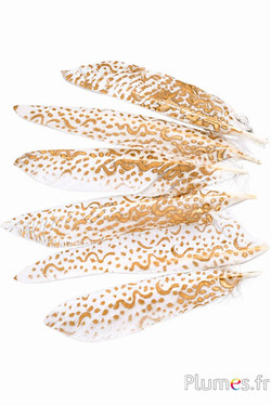Gans kop - Arabesque - 15-20 cm - wit-goud